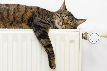 At West London Plumbing and Heating we care about our customers and all the work we undertake is fully guaranteed.